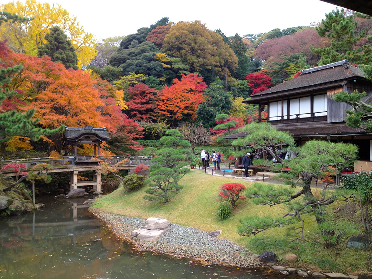 Let’s go to Sankeien, unwind and enjoy a great Japanese garden in