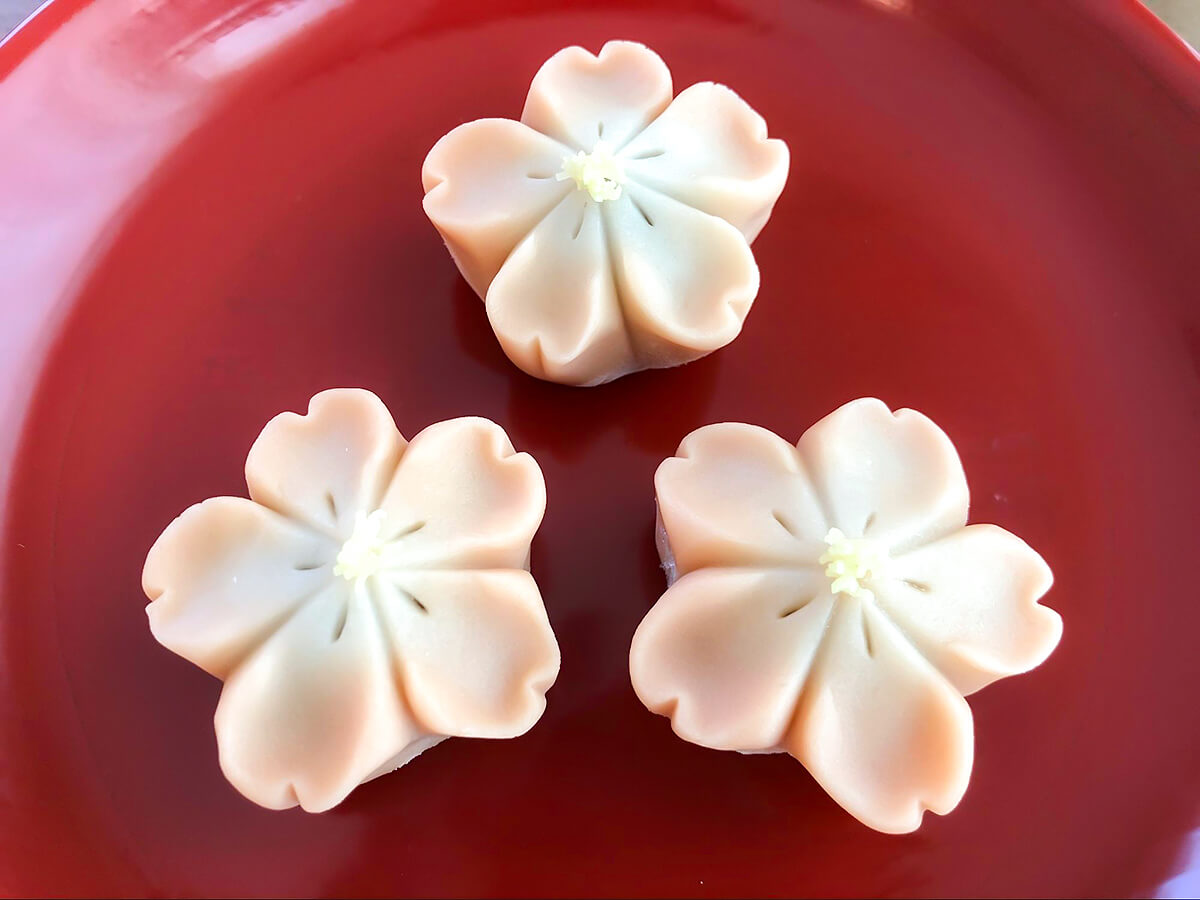 Let’s enjoy traditional Japanese sweets (Part 1): “WAGASHI!!!”